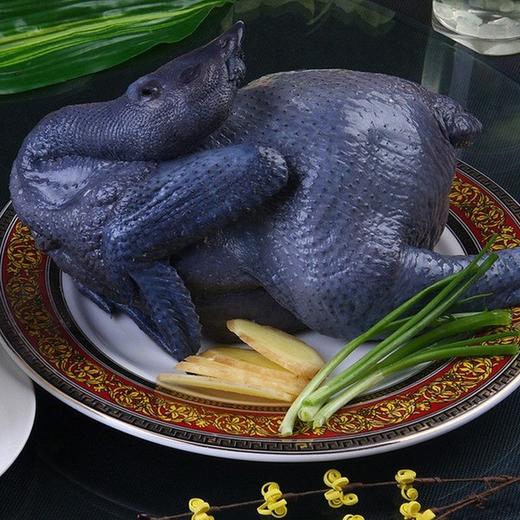 乌骨鸡 1.4kg左右/半只（鸡杂与鸡头随机搭配，不接受备注）（需要砍小，请备注） 商品图0