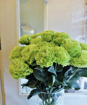 【洋桔梗】-翠绿色，若干枝/扎