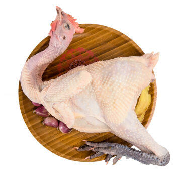 土杂鸡 /半只（鸡杂与鸡头随机搭配，不接受备注）（需要砍小，请备注） 商品图0