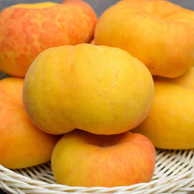 陕西富平秦阳嘎啦红苹果水果5斤包邮,现摘现发 脆甜多汁 皮薄肉厚口感