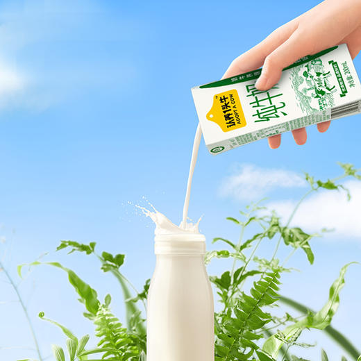 认养一头牛全脂纯牛奶200ml*12盒*2提 商品图0