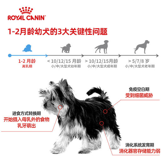 进口皇家狗狗罐头 奶糕罐 低脂肠道处方 术后康复罐 商品图2