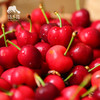 生态四川小金樱桃 |合作生产* Ecological  cherry ｜Partner Production 商品缩略图2