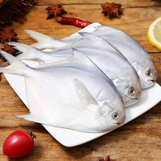 小晶鱼【白鲳鱼】1200±10g 商品图1