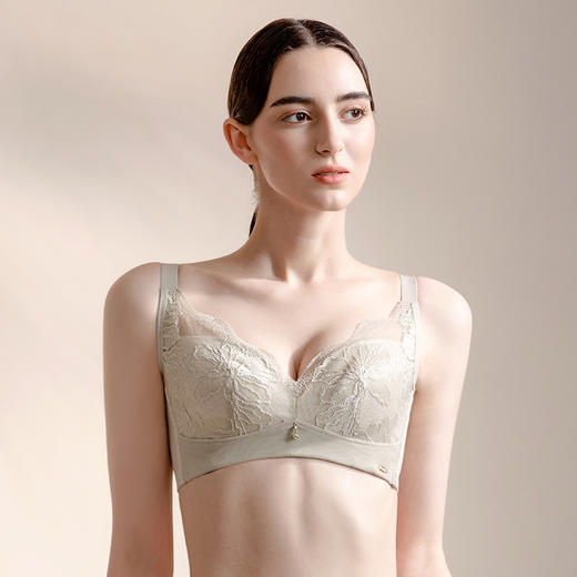 皇家丽美无钢圈内衣性感大胸显小女士蕾丝文胸WW075-1 商品图8