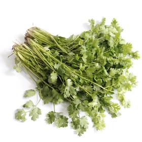 香菜100g｜静物自产