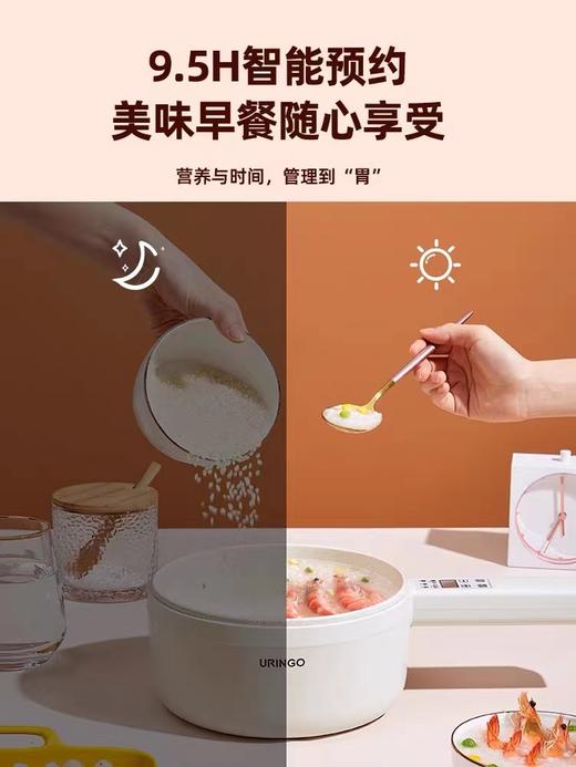 七彩叮当电煮锅SD01宿舍学生2L家用多功能电热火锅 商品图3