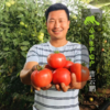 生态圣女果 | 合作生产 *Eco- tomato | Coprodution 商品缩略图1