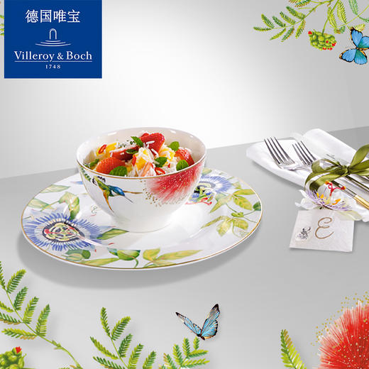 德国唯宝进口亚马逊系列骨瓷餐具碗碟盘子 商品图2