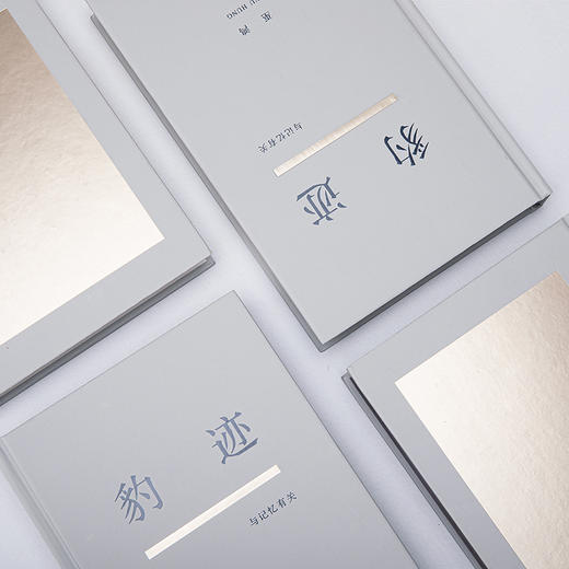 豹迹：与记忆有关 （美）巫鸿著 商品图6