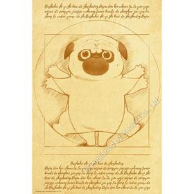 赤果果/维特鲁威人/300片