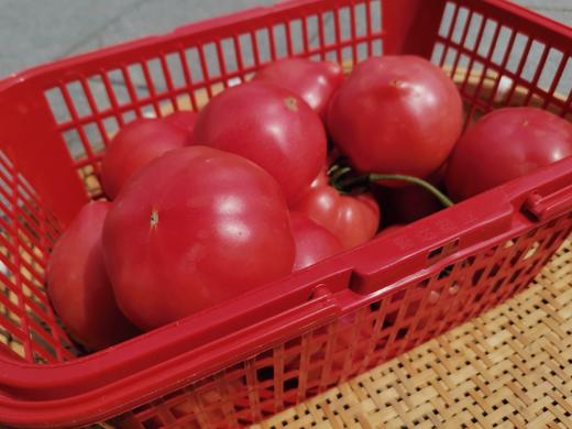 【本地蔬菜】大番茄西红柿2斤装 商品图3