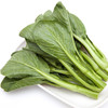 菜心 400g 商品缩略图1