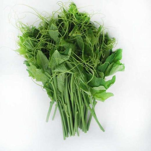 洋丝瓜尖 400g 商品图0