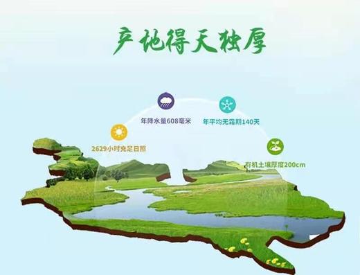 HEB原粮稻花香大米10kg/袋 商品图3