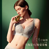 皇家丽美无钢圈美背内衣女大胸显小聚拢调整型收副乳文胸WW115-1 商品缩略图1