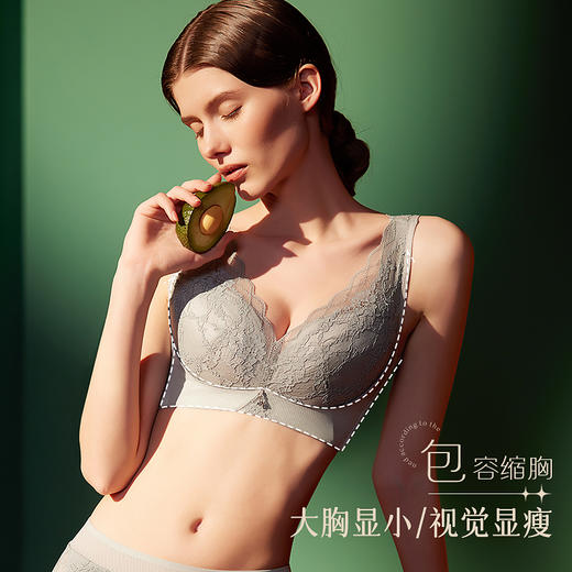 皇家丽美无钢圈美背内衣女大胸显小聚拢调整型收副乳文胸WW115-1 商品图1