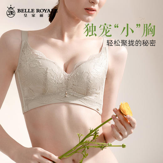 皇家丽美舒适柔软无钢圈内衣女小胸显大聚拢调整型收副乳文胸WW075-3 商品图5