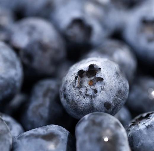 【云南抚仙湖花香蓝莓】 顺丰空运到家 L25花香蓝莓 自然种植 新鲜采摘 商品图5