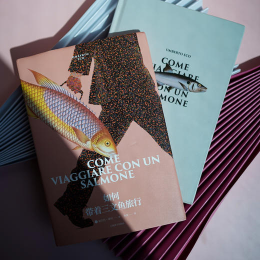 如何带着三文鱼旅行（翁贝托·埃科作品系列） 商品图2