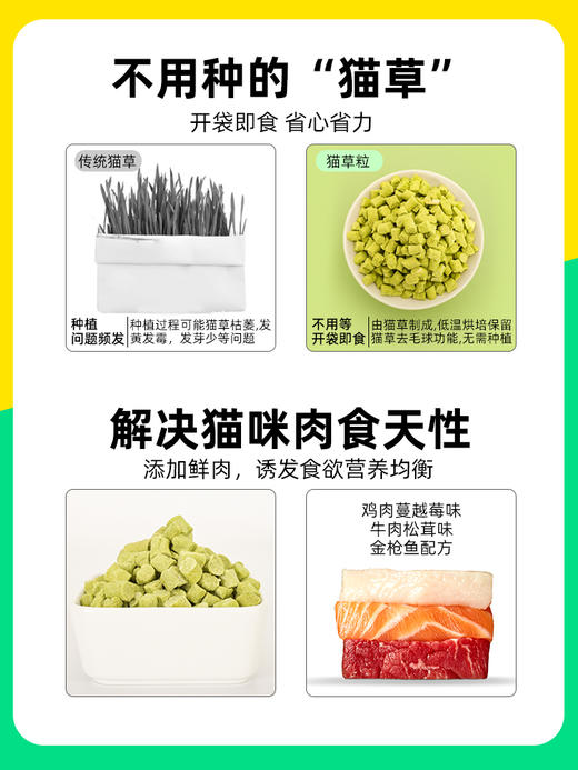 【积分商城】路斯猫草粒猫草棒磨牙零食去毛球20g*3（需随单，单拍不发） 商品图0