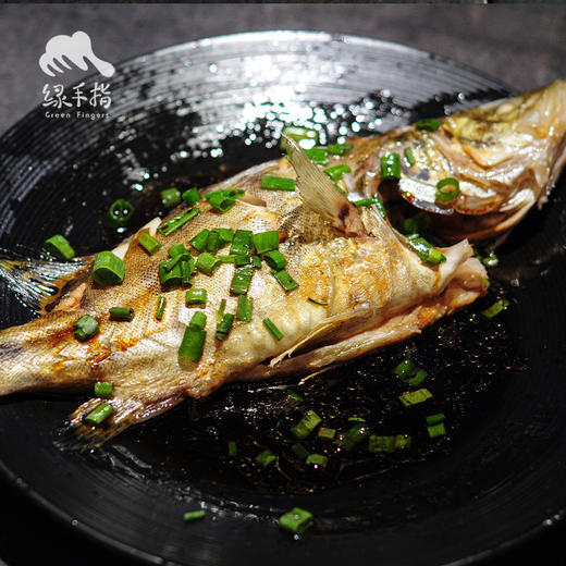 有机桂花鱼 | 合作生产 * Eco- Dace | Coproduction 商品图4