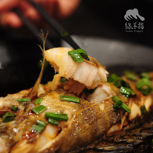 有机桂花鱼 | 合作生产 * Eco- Dace | Coproduction 商品图5