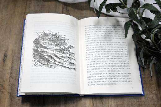 经典译林：鲁滨逊漂流记 商品图3