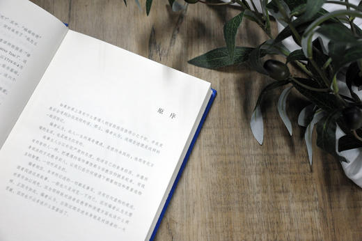 经典译林：鲁滨逊漂流记 商品图4