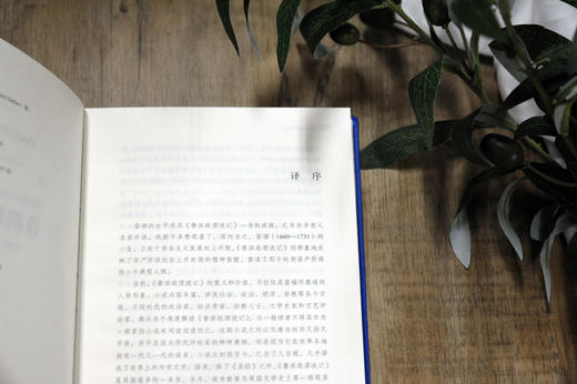 经典译林：鲁滨逊漂流记 商品图2