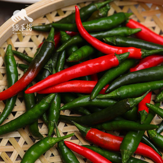 生态小米椒 | 绿家自产*Ecological millet pepper | Self-production 商品图3