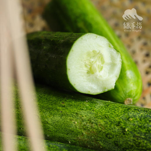 生态黄瓜（大吊瓜，潮汕老品种） | 绿家自产* Eco-cucumber | Self-production 商品图7