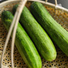 生态黄瓜（大吊瓜，潮汕老品种） | 绿家自产* Eco-cucumber | Self-production 商品缩略图9