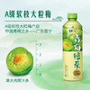 统一 青梅绿茶    500ml*15瓶/件 商品缩略图1