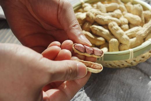 XLJ龙岩花生 商品图1