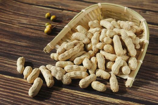 XLJ龙岩花生 商品图4