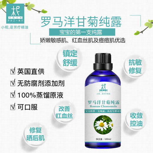 【预售】罗马洋甘菊/小白菊纯露 2025当季新露 海外进口新鲜纯露 原产地直供 修复 商品图2