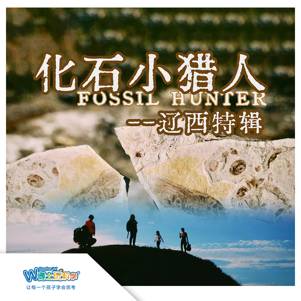 【北京】《化石小猎人辽西特辑 》前往古生物化石宝库，探寻远古的生命故事