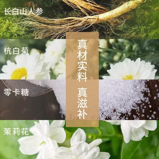 一整根人参水480ml 商品图1