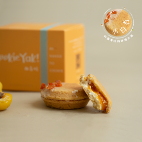 新疆小白杏味｜冷冻经典版曲奇烧（4枚/盒）