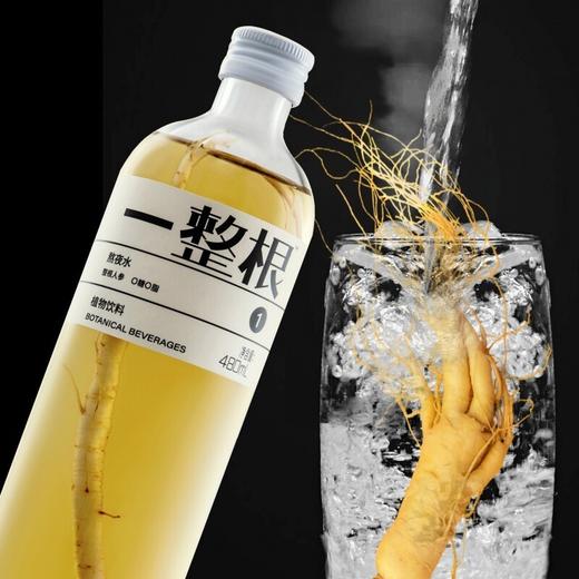 一整根人参水480ml 商品图2