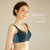 皇家丽美无钢圈文胸精美刺绣透气棉内衣美背四排扣聚胸内衣WW918-3 商品缩略图2