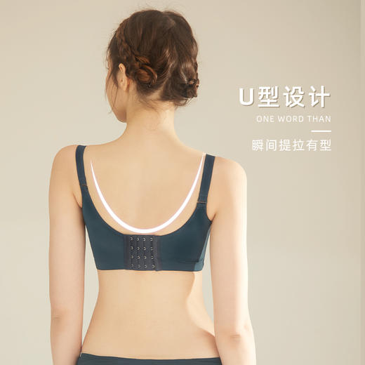 皇家丽美无钢圈文胸精美刺绣透气棉内衣美背四排扣聚胸内衣WW918-3 商品图1