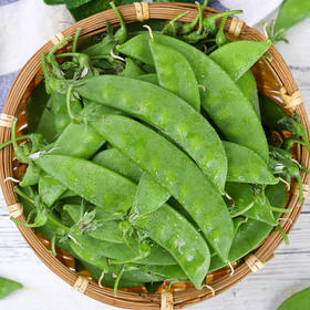 【生鲜预定】荷兰豆