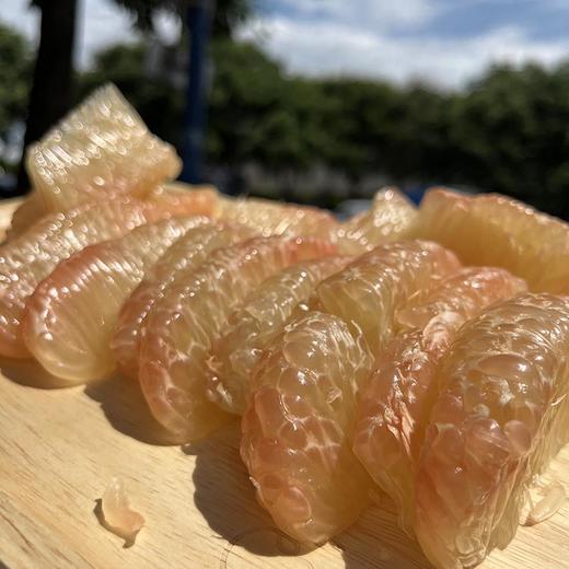 越南「红柚」1个中大果 约0.9~1.1kg 商品图8