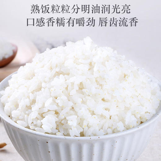 【有机】老爷岭有机胚芽米400g 商品图3