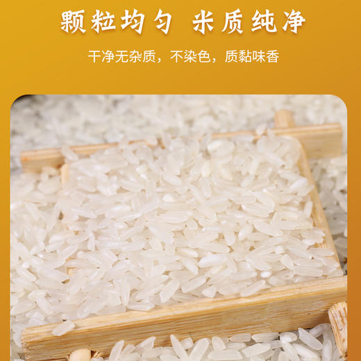 黄四姐 恩施硒米5kg/袋 商品图5