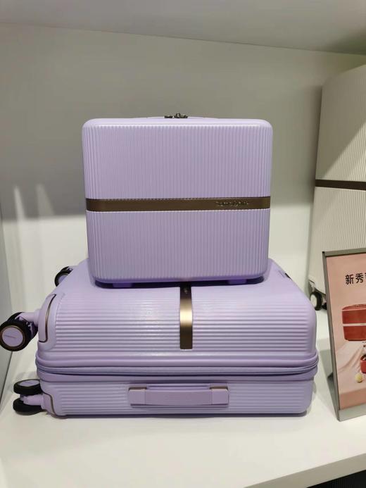 新秀丽MINTER网红摩登小流金箱可肩背迷你PC材质小拉杆箱HH5*005 商品图11