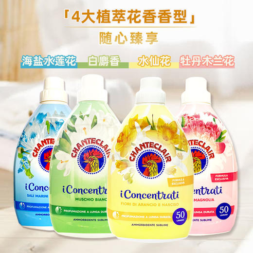 【中欧班列精选2桶】意大利柔顺剂 原装进口大公鸡管家柔顺剂橙花水仙花香/白麝香/牡丹玉兰香/海盐莲花香 1000ml/瓶 商品图0