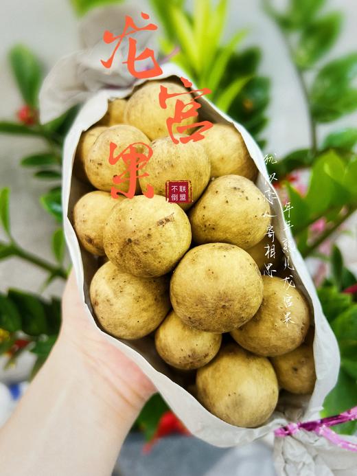 【进口专区】泰国 龙宫果//爱情果   顺丰空运 商品图0